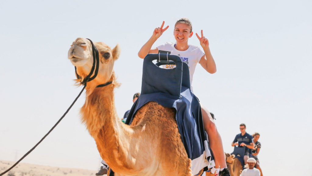Picture of Simona Halep on a camel caravan in Dubai