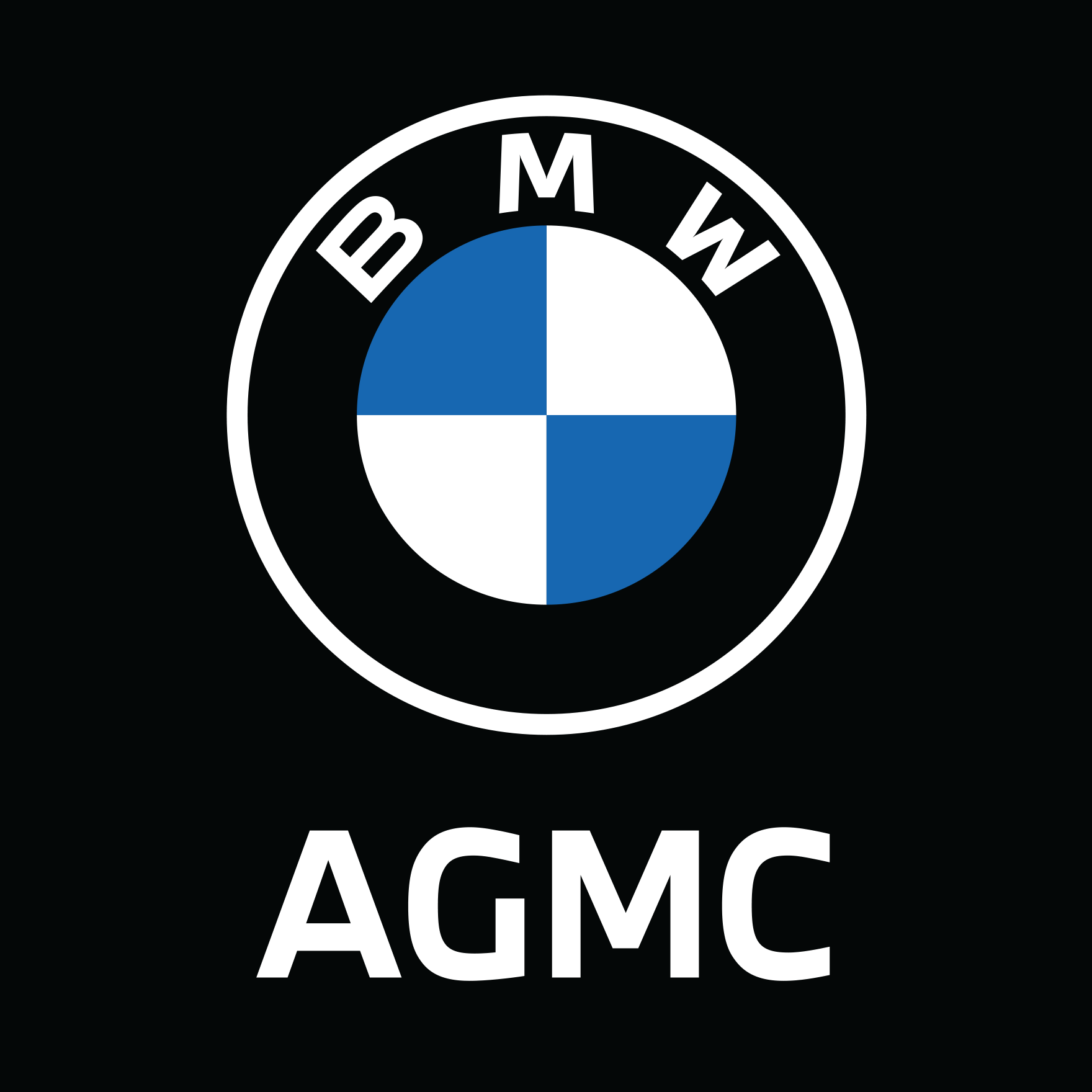 BMW Logo